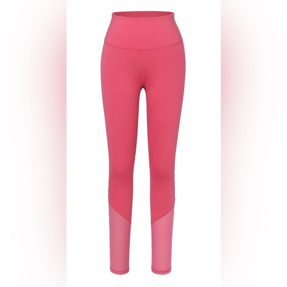 NWT’s IVL Collective mesh insert legging